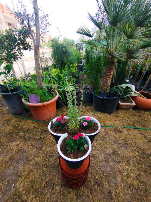 Rose decoration – Image 4