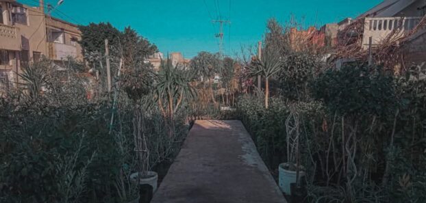 Green house